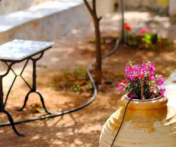 Olympia Zervea With Pool -