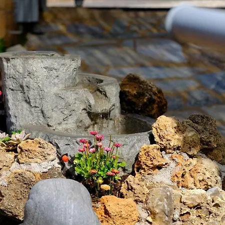 Olympia Zervea With Pool - 公寓 卡德哈米利