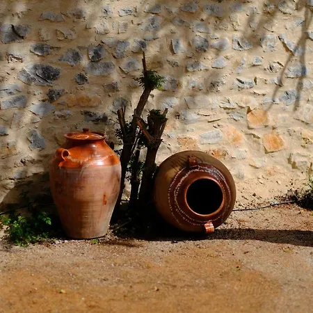 Olympia Zervea With Pool -