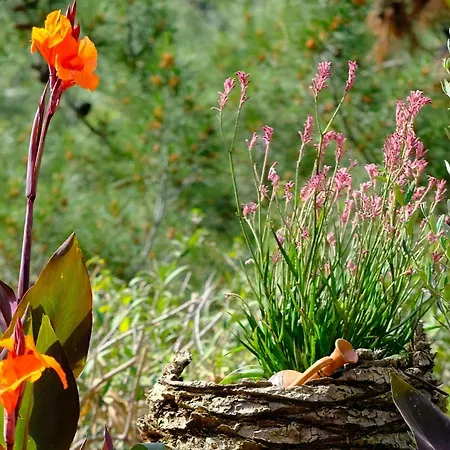 公寓 Olympia Zervea With Pool - 卡德哈米利