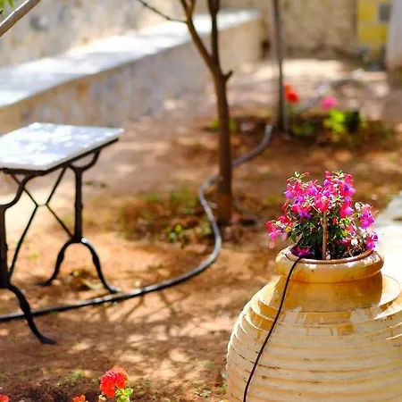 Olympia Zervea With Pool -