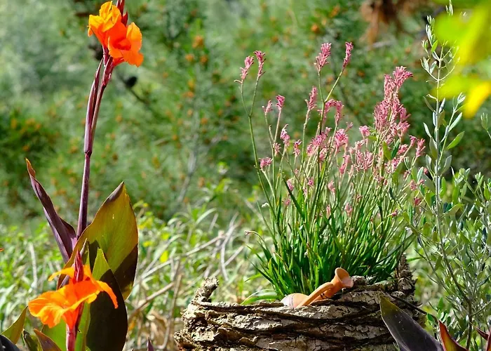 Appartement Olympia Zervea With Pool - Kardhamili